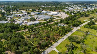 No HOA, 1 full acre, Charlotte Harbor views, and the ability to - photo 12