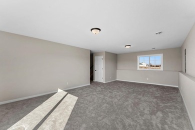 This brand new 4 bedroom, 3 bathroom, 4-car garage home features - photo 23