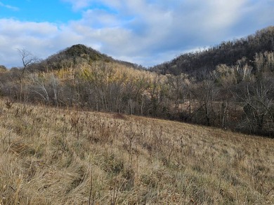 Additional listing photo 1