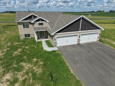 This brand new 4 bedroom, 3 bathroom, 4-car garage home features - photo 40