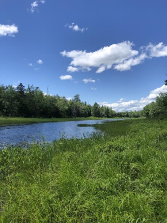 Lake Acreage Off Market in Pembroke, Maine