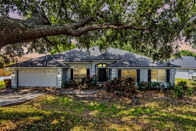 Lake Louisa Home For Sale in Clermont Florida