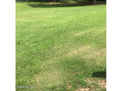 Lake Lot For Sale in Jackson, Mississippi