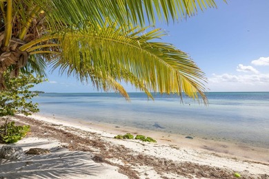 Welcome to Casa Matecumbe, an extraordinary oceanfront sanctuary - photo 20