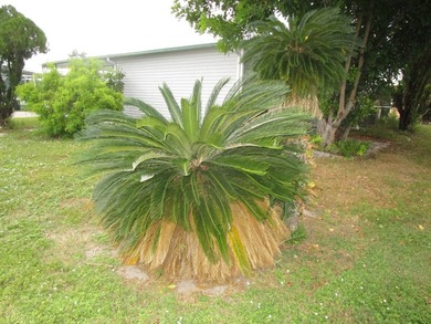 Buccaneer Estates - 911 Strongbox Ln North Fort Myers Fl 33917 - photo 5