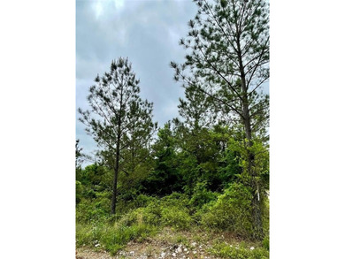Broken Bow Lake Lot For Sale in Broken Bow Oklahoma