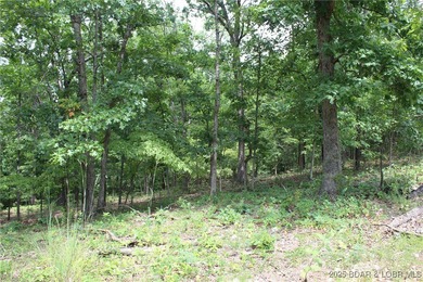 This spacious lot in the desirable Woodhaven Estates subdivision - photo 11