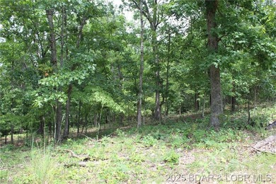 This spacious lot in the desirable Woodhaven Estates subdivision - photo 11