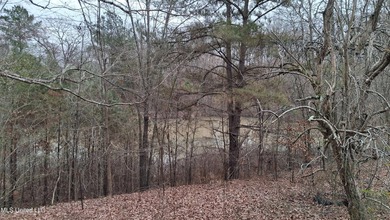 HUGE potential on this fixer-upper on 14+- acres with a shop! 3 - photo 11