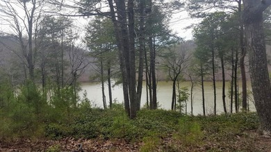 Beautiful view up and down the main channel from this wooded lot - photo 11