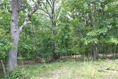 This spacious lot in the desirable Woodhaven Estates subdivision - photo 12