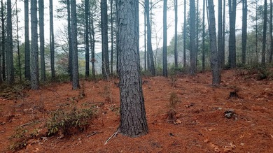 Beautiful view up and down the main channel from this wooded lot - photo 12