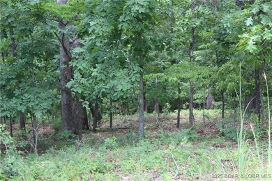 This spacious lot in the desirable Woodhaven Estates subdivision - photo 13