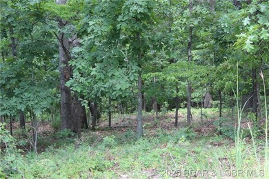 This spacious lot in the desirable Woodhaven Estates subdivision - photo 13