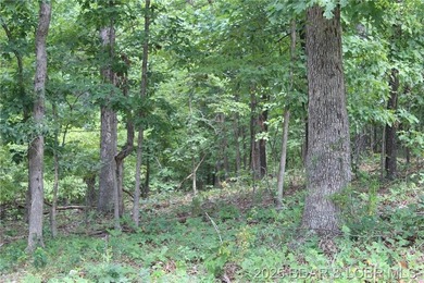 This spacious lot in the desirable Woodhaven Estates subdivision - photo 14
