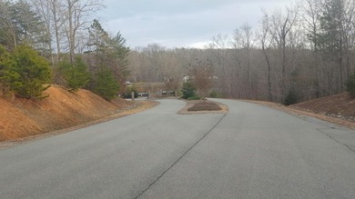 Beautiful view up and down the main channel from this wooded lot - photo 14