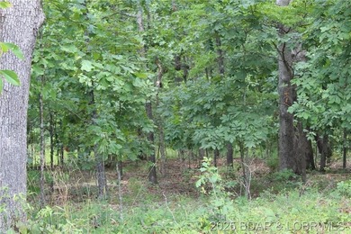 This spacious lot in the desirable Woodhaven Estates subdivision - photo 15