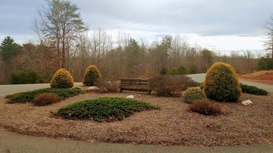 Beautiful view up and down the main channel from this wooded lot - photo 15