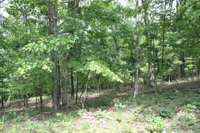 This spacious lot in the desirable Woodhaven Estates subdivision - photo 19