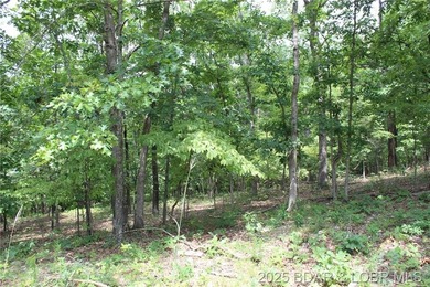 This spacious lot in the desirable Woodhaven Estates subdivision - photo 19