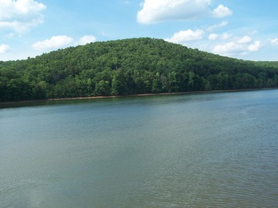 Beautiful view up and down the main channel from this wooded lot - photo 24