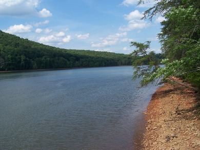 Beautiful view up and down the main channel from this wooded lot - photo 25