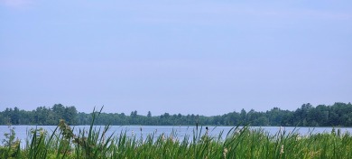 Lake Acreage For Sale in Dover-Foxcroft, Maine