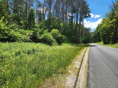 Build your dream home on this wonderful 18+/- acre building lot - photo 1