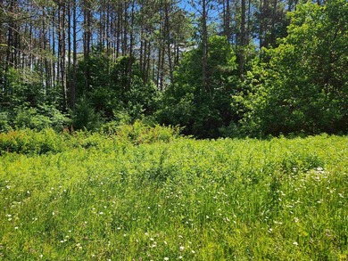 Build your dream home on this wonderful 18+/- acre building lot - photo 3