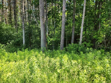 Build your dream home on this wonderful 18+/- acre building lot - photo 4
