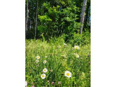 Build your dream home on this wonderful 18+/- acre building lot - photo 5