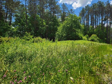 Build your dream home on this wonderful 18+/- acre building lot - photo 6