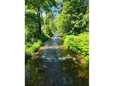 Build your dream home on this wonderful 18+/- acre building lot - photo 8