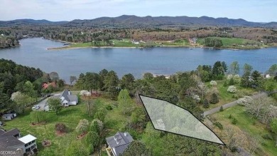 Lake Lot For Sale in Blairsville, Georgia