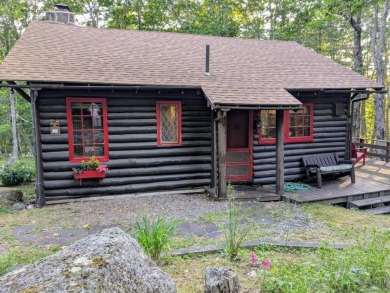 This impeccably maintained, climate-controlled, historic Log - photo 3
