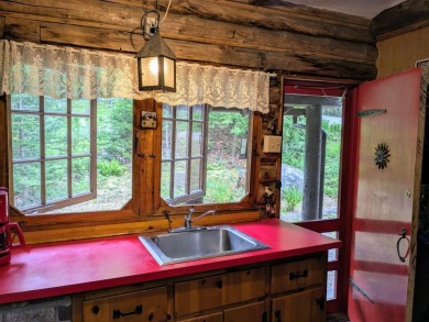 This impeccably maintained, climate-controlled, historic Log - photo 6