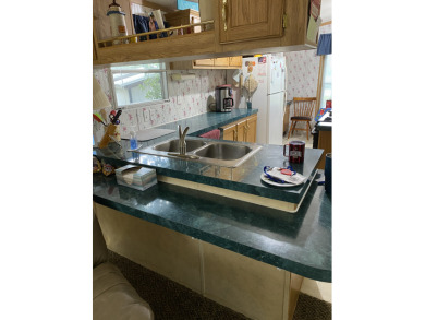 14x66 Manufactured Home
1996 Skyline-Spring Elite - photo 10