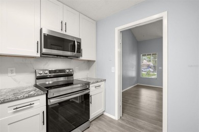 Stop your search now! Welcome to Northdale, FL! This highly - photo 14