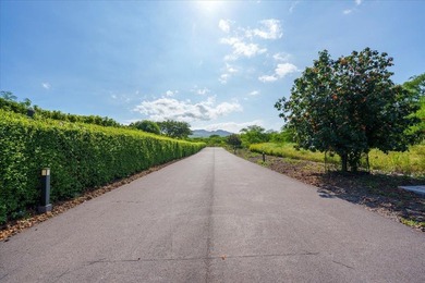 A rare and extraordinary opportunity in coveted Makena awaits - photo 16