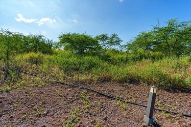 A rare and extraordinary opportunity in coveted Makena awaits - photo 18