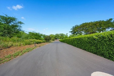 A rare and extraordinary opportunity in coveted Makena awaits - photo 19