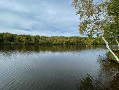 Wisconsin River - Lincoln County Acreage For Sale in Rhinelander Wisconsin
