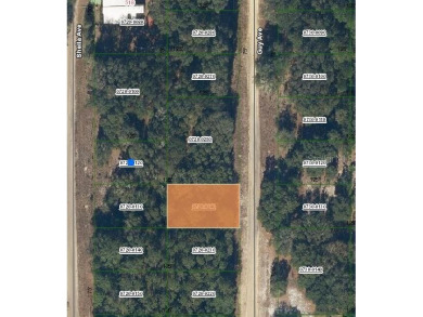 Lake Lot For Sale in Interlachen, Florida