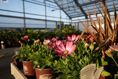 Own a community landmark farm with views in every direction and - photo 34