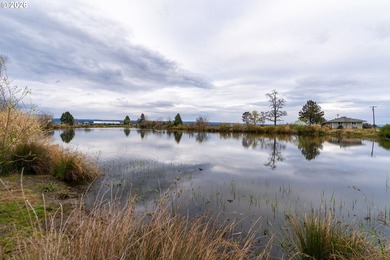 Own a community landmark farm with views in every direction and - photo 37