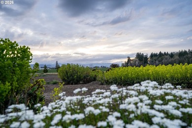 Own a community landmark farm with views in every direction and - photo 42