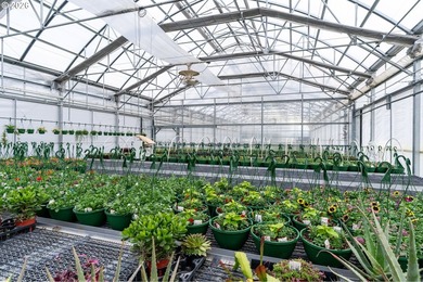 Own a community landmark farm with views in every direction and - photo 45