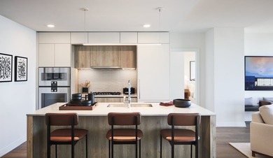 Experience luxury resort-style lakefront living at Cirrus in the - photo 4