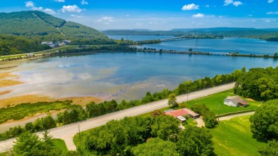 Nick-a-Jack Lake Acreage For Sale in Guild Tennessee