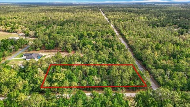 Bonable Lake Lot For Sale in Dunnellon Florida